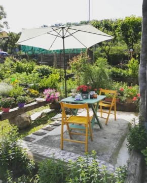 Отель La casa dell'Olmo  Тарцо